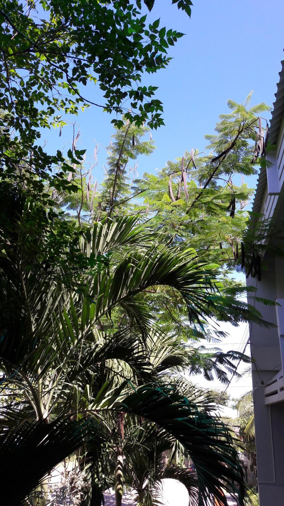 Addera Residence Hua Hin HHQ Exterior foto